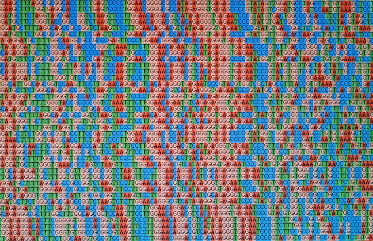 03GENOME3-master768